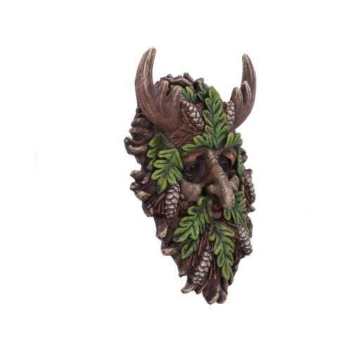 Bryn Wall Mounted Tree Spirit 20.8cm