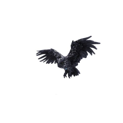 Dark Feather Owl Wall Plaque 55cm