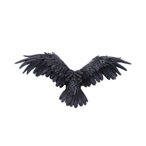 Dark Feather Owl Wall Plaque 55cm